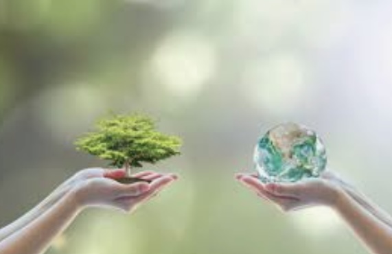 Hands holding a globe and a tree, symbolizing the connection between nature and the world.