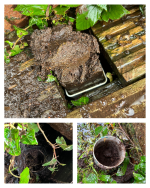 gutter clearance near me