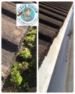residential gutter cleaning near me