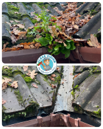 roof gutter cleaning Southampton