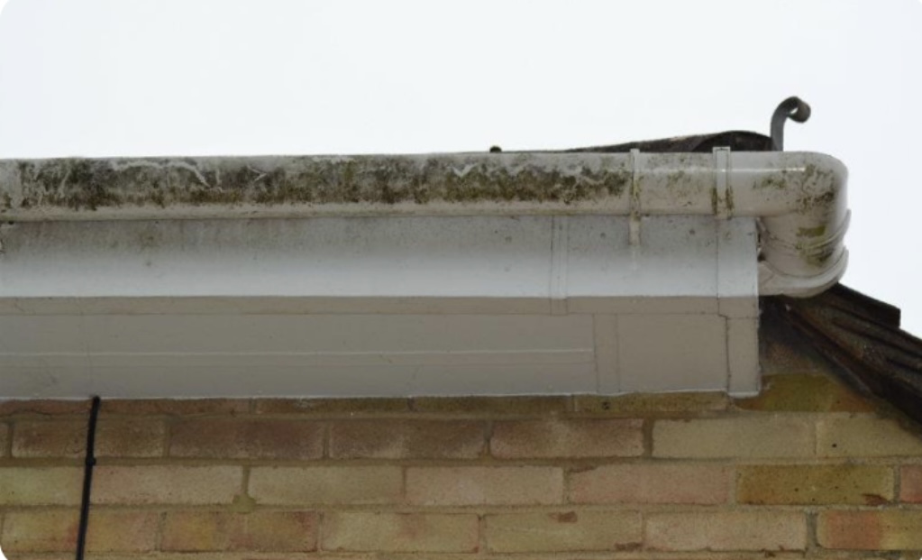 Residential Gutter Cleaning Southampton