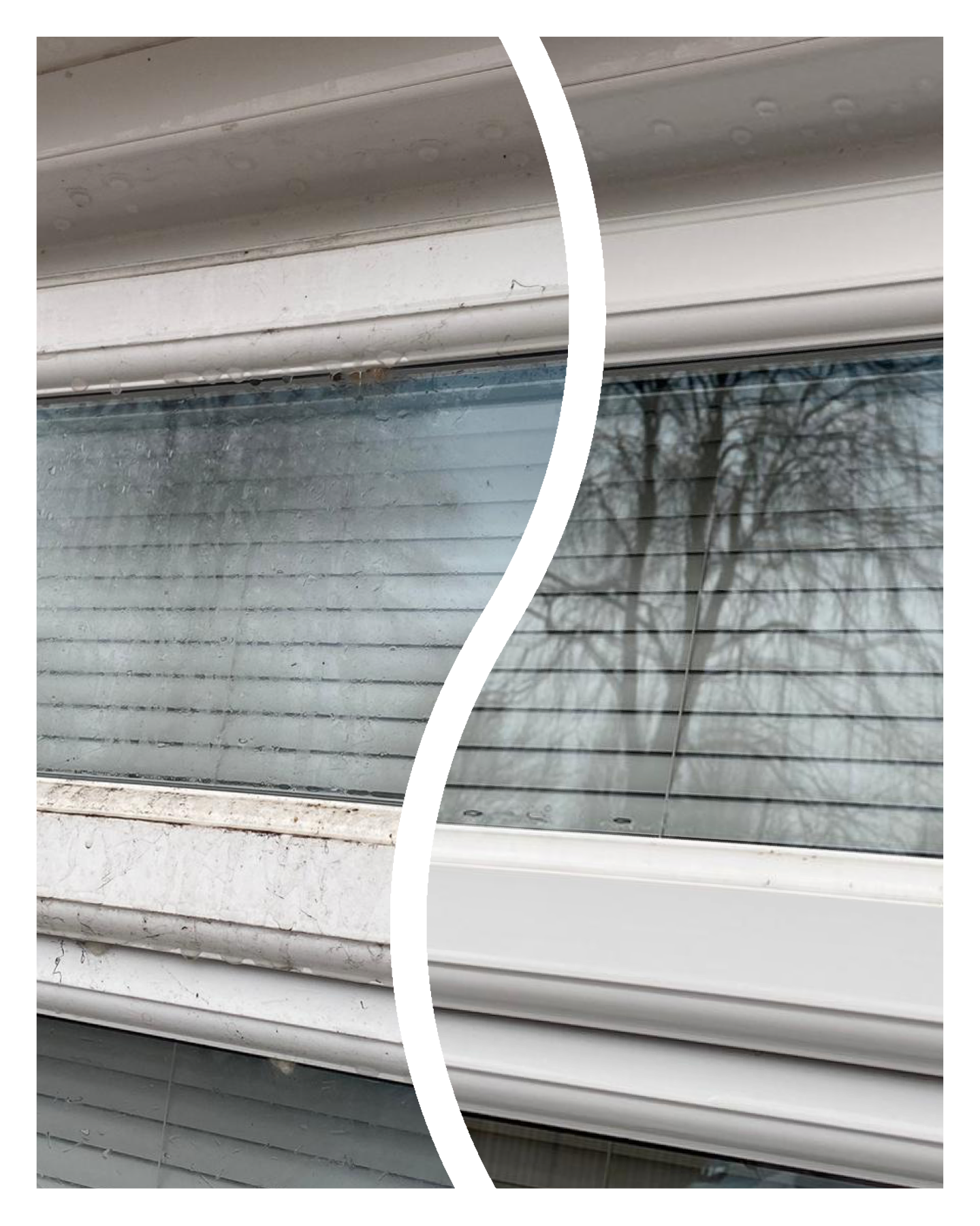 Window Cleaning Residential