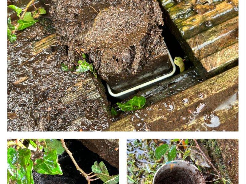 Gutter Clearance & Maintenance