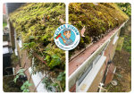 Gutter Clearance Residential