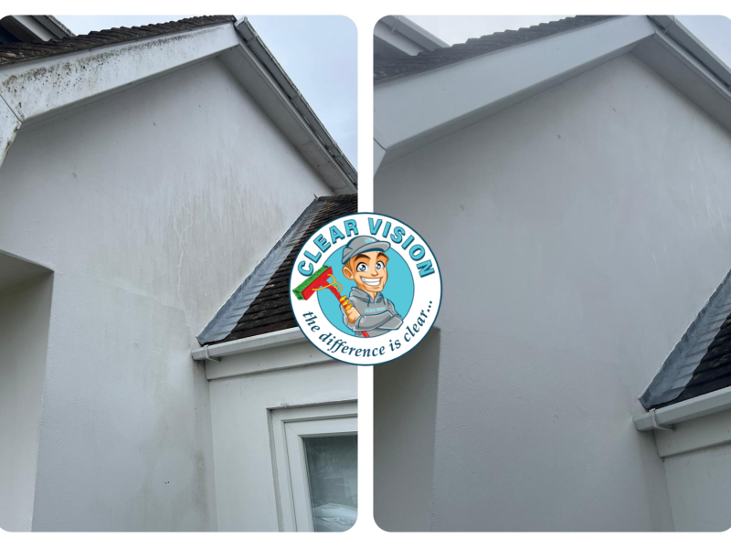 Soft Washing Residential