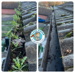 Gutter Clearance Residential