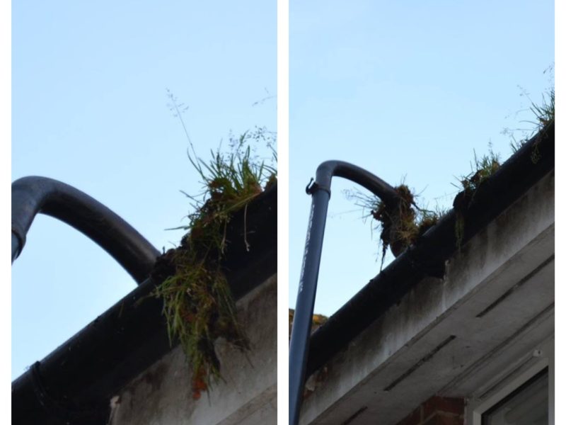 gutter cleaning prices Southampton